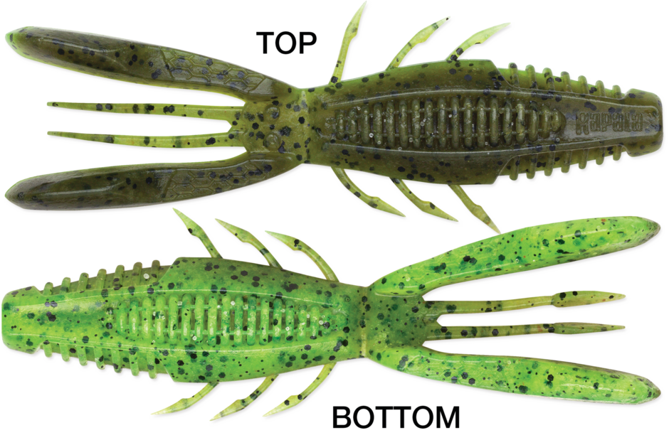 RAPALA CRUSHCITY BRONCO BUG 4 "