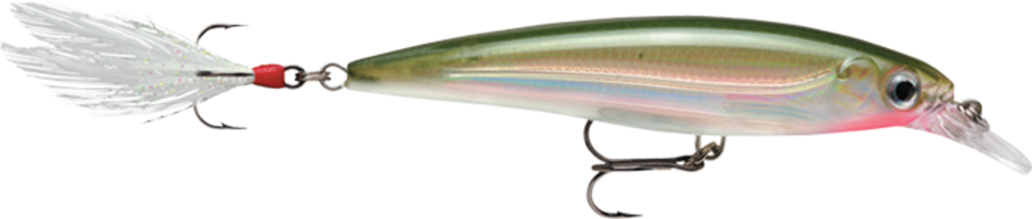 RAPALA X-RAP 8 JERKBAIT