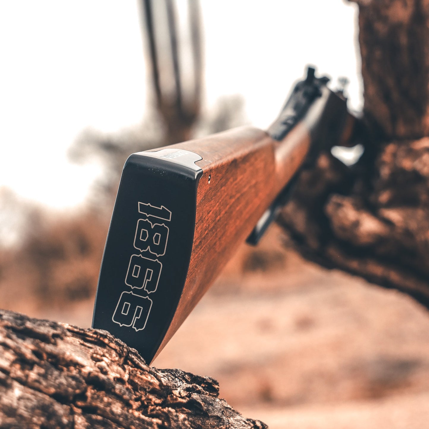 1866 CO2 .177 - Black