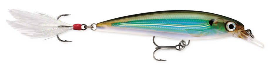 RAPALA X-RAP 8 JERKBAIT