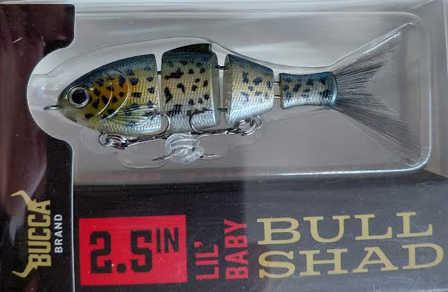 bull shad fishing lure Bucca Lil Baby Bull Shad 2.5" Threadfintastic