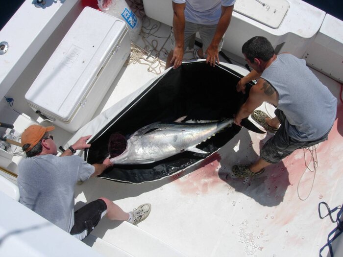 72x30'' Fish Cooler Bag With YKK Zipper