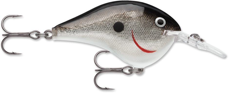 RAPALA DT (DIVES TO) 6 SERIES CRANKBAIT