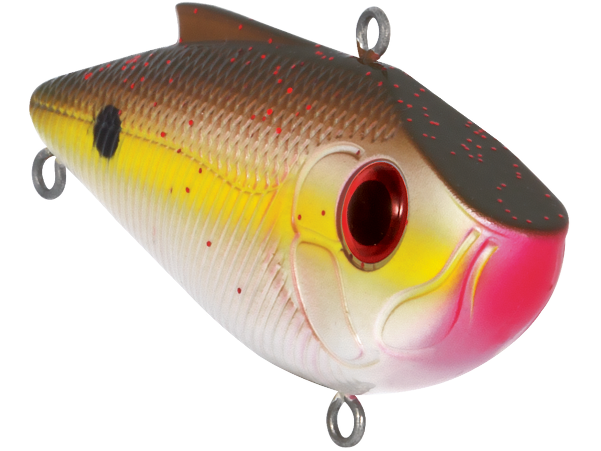 Rd Rd Pro Sw Pro Ripper SW – ANGLER'S OUTLET