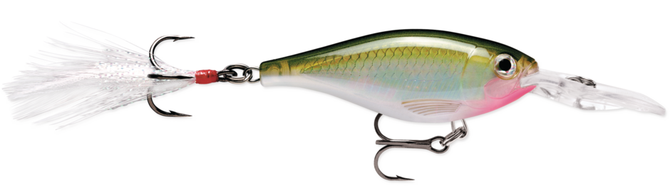 RAPALA X-RAP SHAD 6 CRANKBAIT