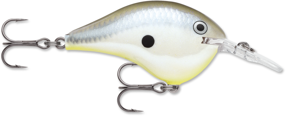 RAPALA DT (DIVES TO) 6 SERIES CRANKBAIT