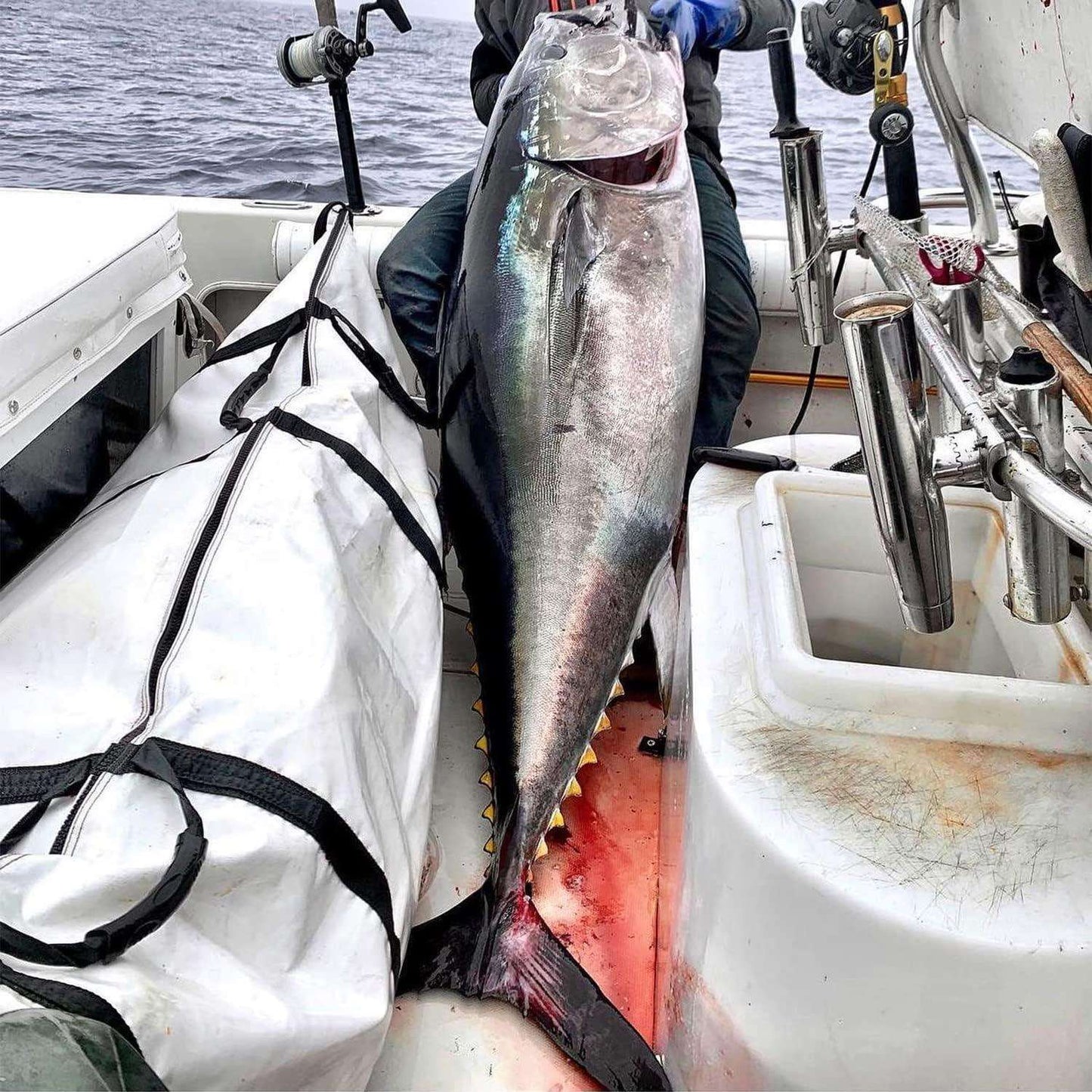 80x40'' Fish Cooler Bag With YKK Zipper