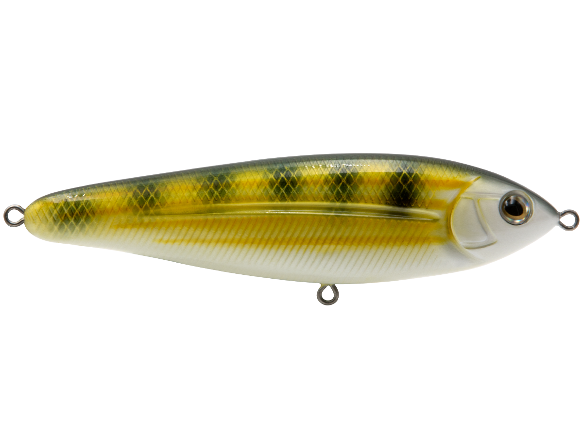 School Master Salt Water