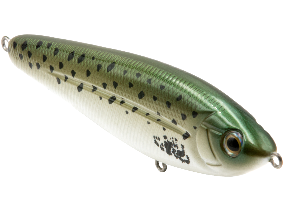 School Master Salt Water