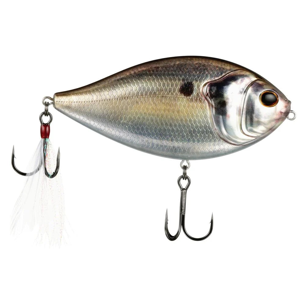 BERKLEY SLAP GILL