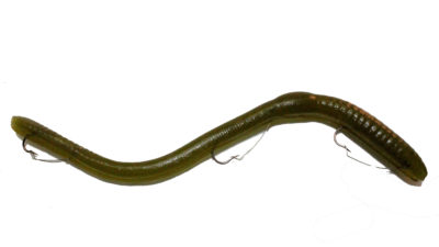 IKE-CON THE BIG 8IGHT WORM