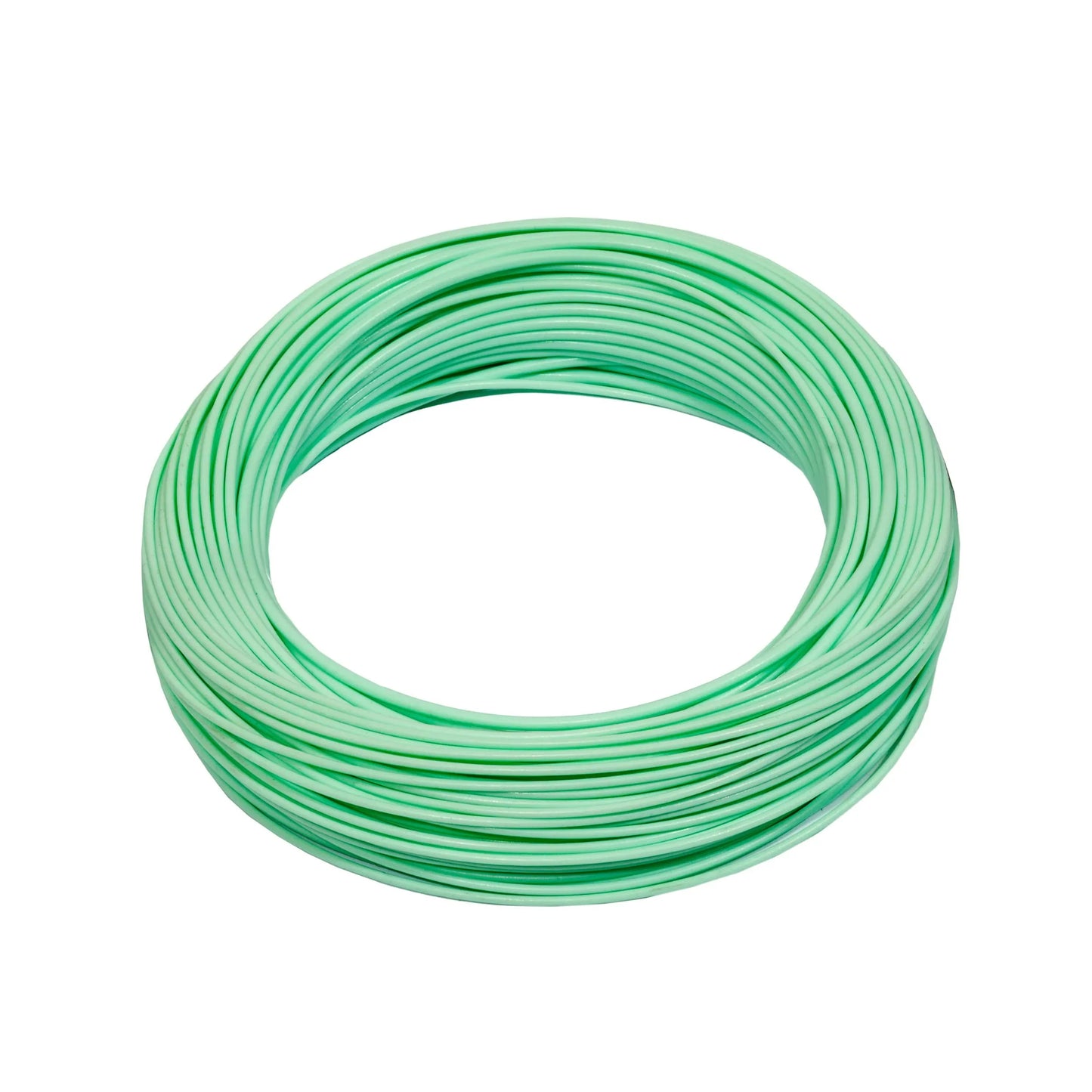 Silvertip Weight Forward Fly Line