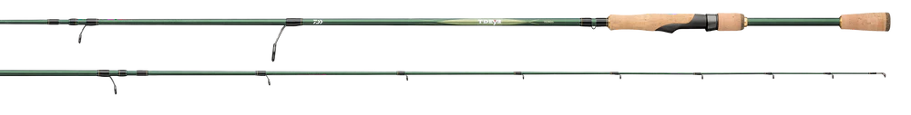 DAIWA TDEYE SPINNING ROD