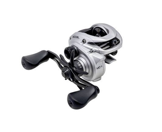 LEWS ACCEL CASTING REEL