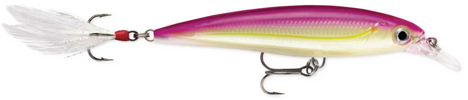 RAPALA X-RAP 8 JERKBAIT
