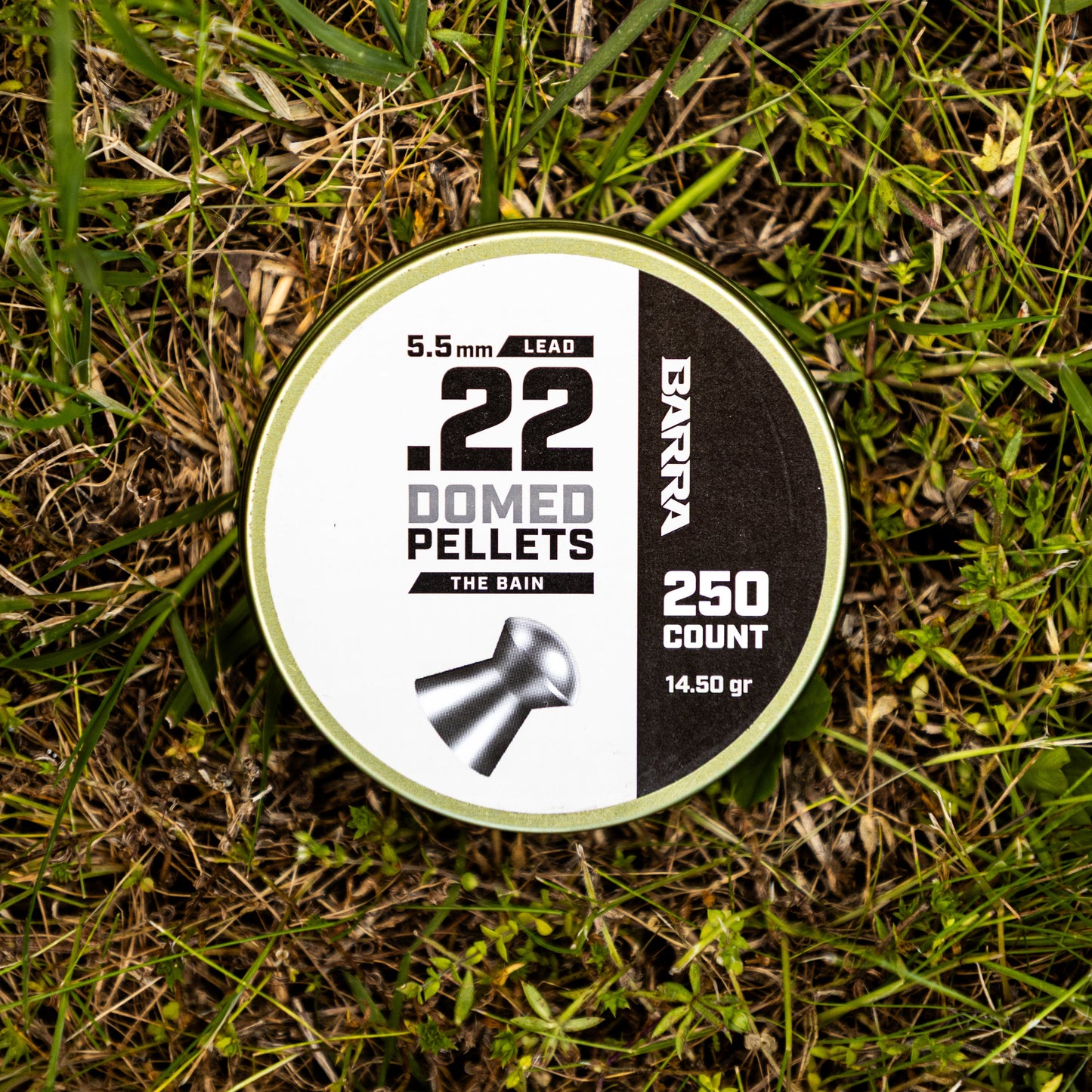 Bain Domed .22 Caliber Pellets - 250 Count