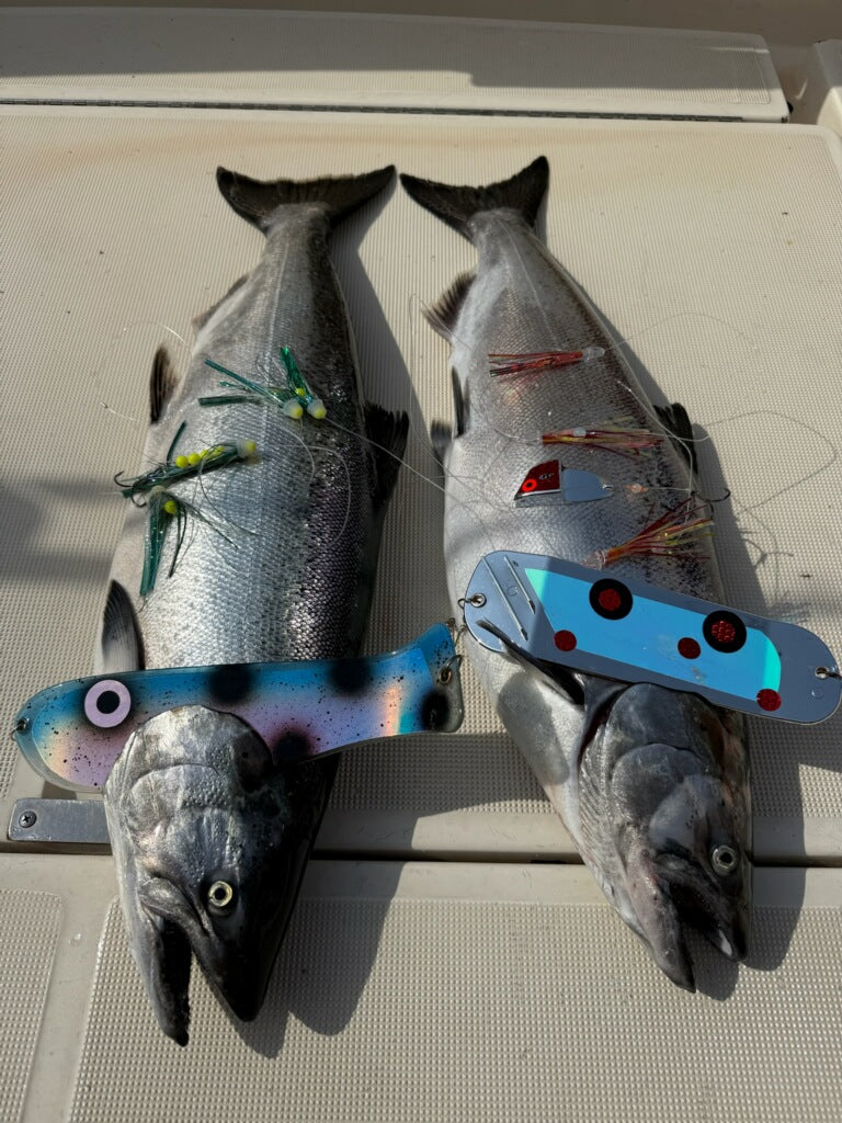 8.5" Dual Fin Flasher Series - Including  NEW Limited Editions-including Bad Girl!