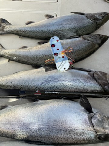 8.5" Dual Fin Flasher Series - Including  NEW Limited Editions-including Bad Girl!