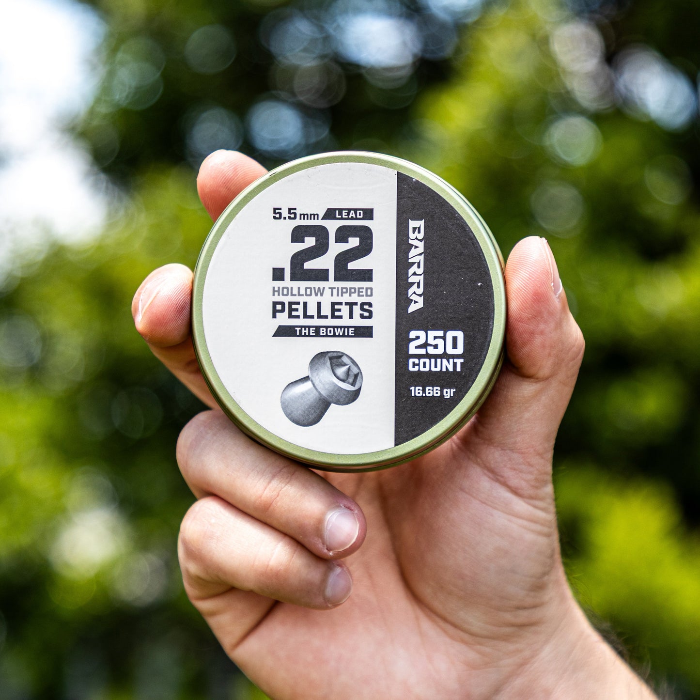 Bowie Hollow Tipped .22 Caliber Pellets - 250 Count