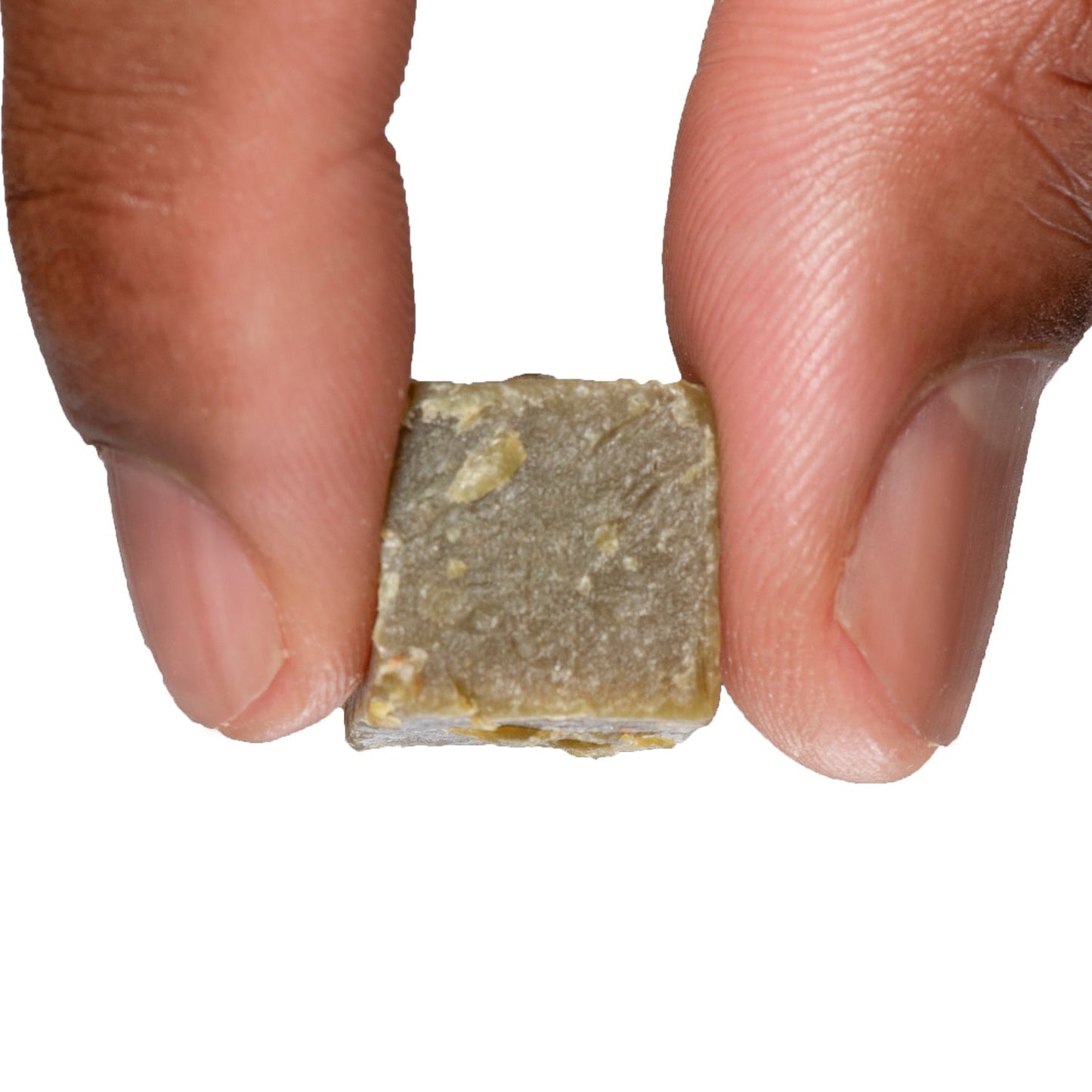 Catalpa Worm Catfish Bait