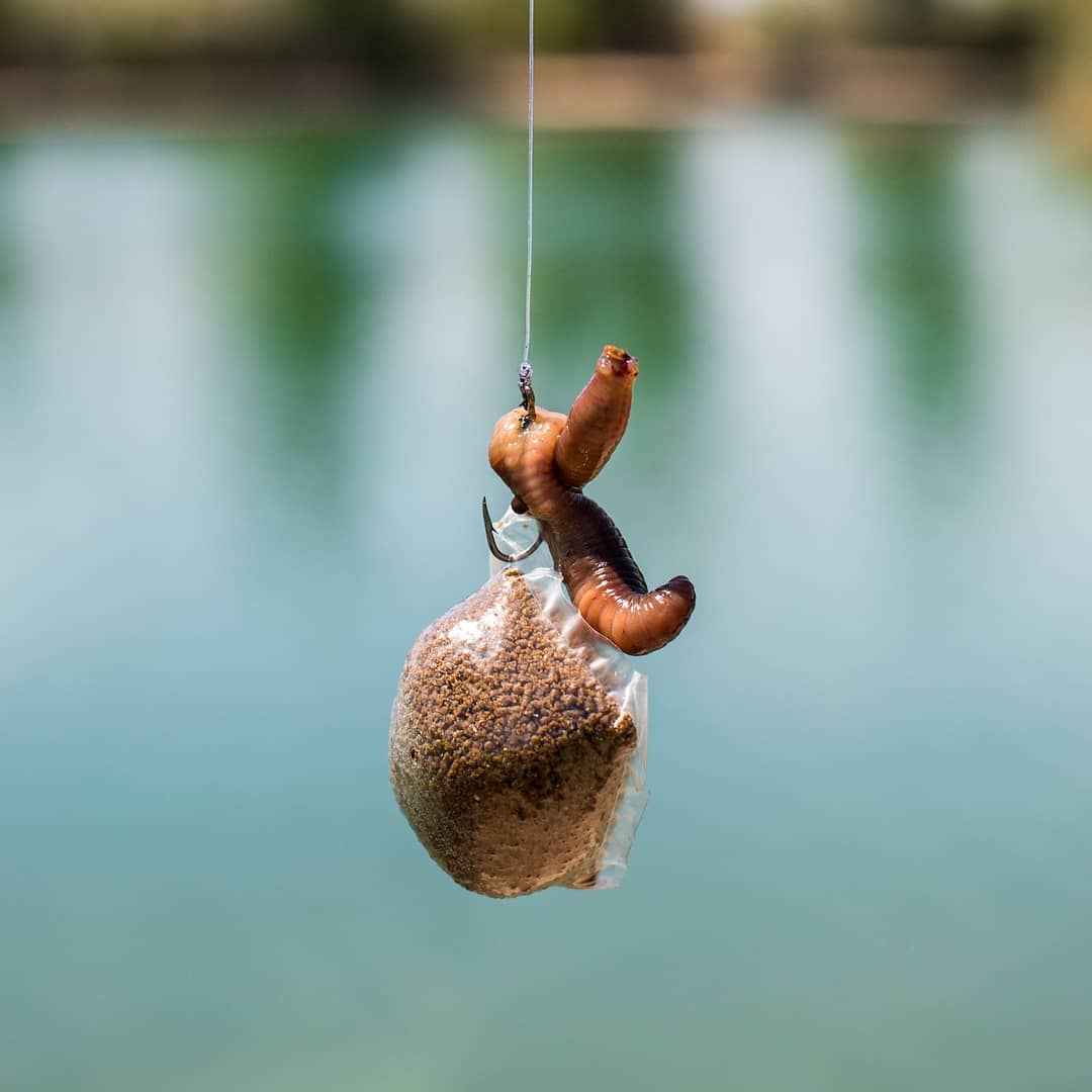 ChumPODS - Raw Fish Attraction