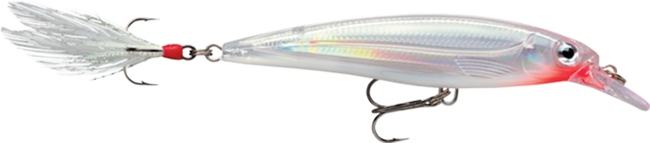 RAPALA X-RAP 10 JERKBAIT