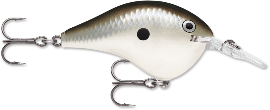 RAPALA DT (DIVES TO) 8 SERIES CRANKBAIT