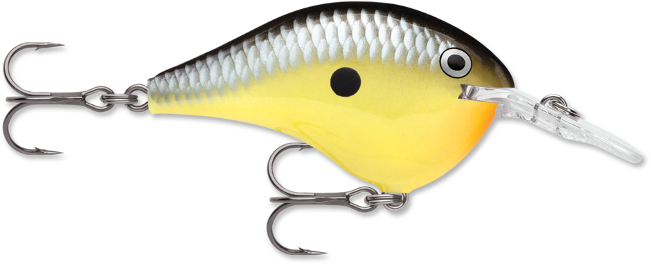 RAPALA DT (DIVES TO) 6 SERIES CRANKBAIT