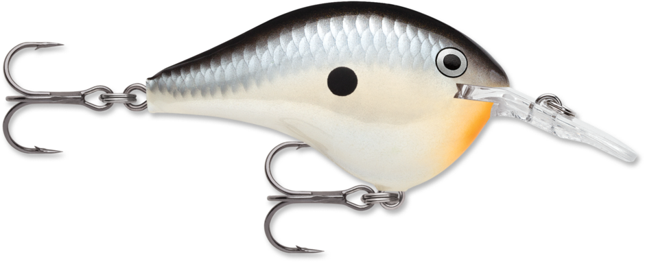 RAPALA DT (DIVES TO) 6 SERIES CRANKBAIT