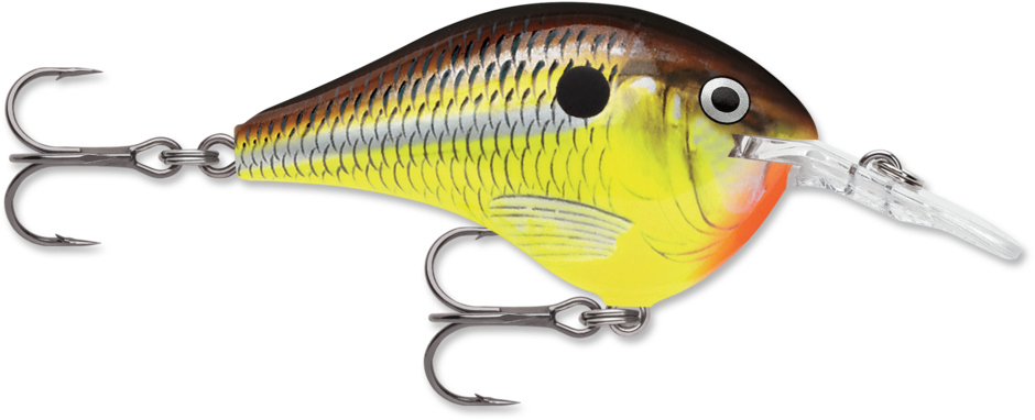 RAPALA DT (DIVES TO) 10 SERIES CRANKBAIT