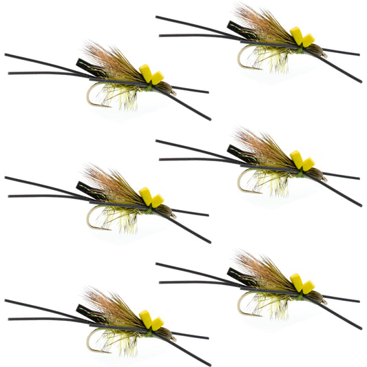 Long Tail Skwala Stone Fly Dry Trout Flies - Adult Squalla Stonefly Dry Fly - 6 Flies Hook Size 10