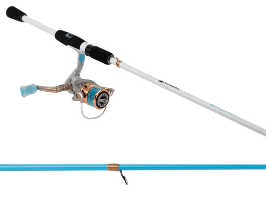 PROFISHIENCY BRUHA SPINNING COMBO