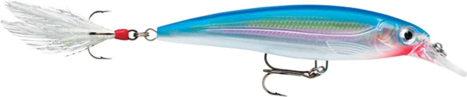 RAPALA X-RAP 10 JERKBAIT