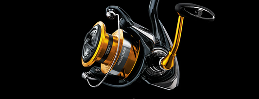 DAIWA REVROS LT SPINNING REEL CLAM PACK