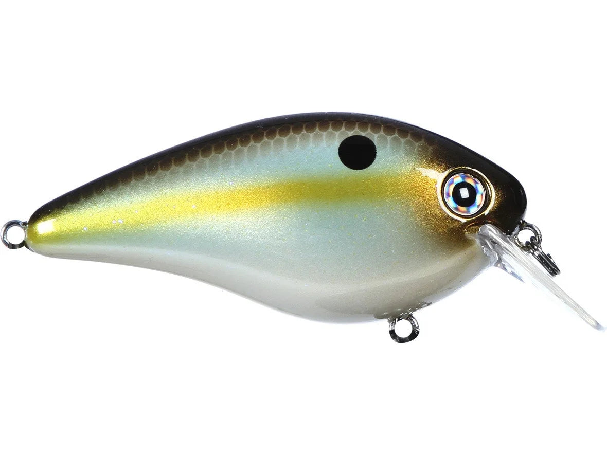 STRIKE KING KVD 2.5 HC SQUAREBILL SILENT CRANKBAIT