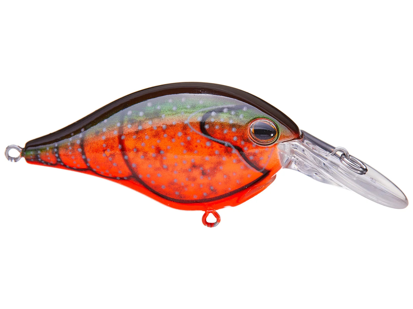 BERKLEY DIME 4 CRANKBAIT