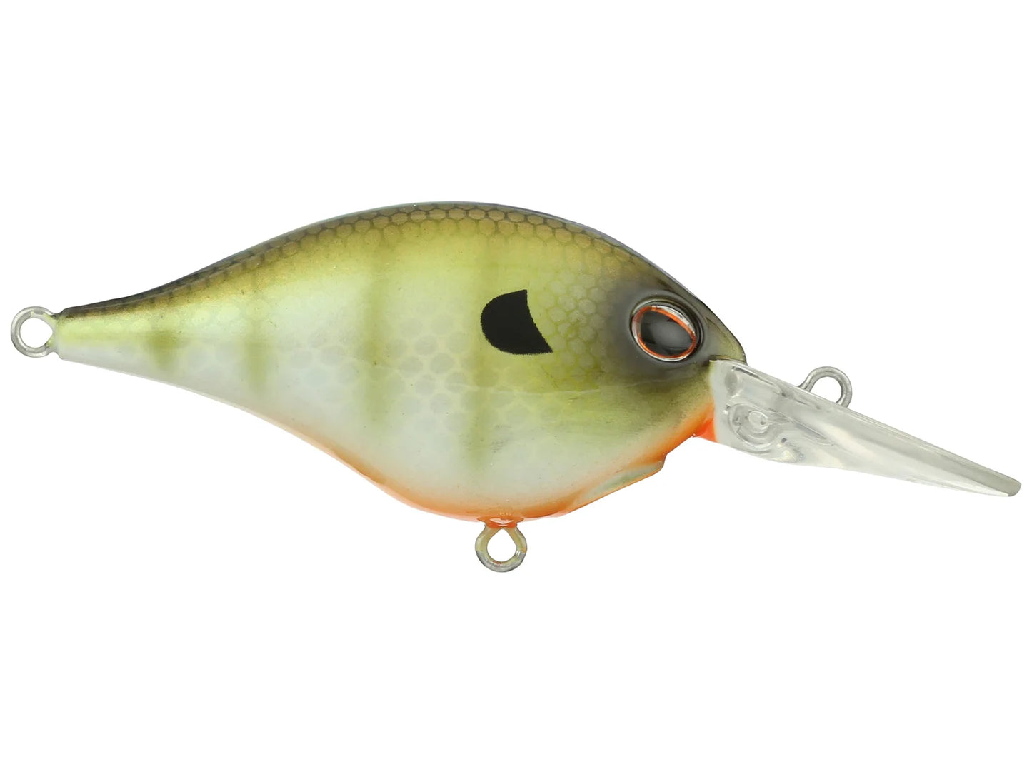 BERKLEY DIME 4 CRANKBAIT