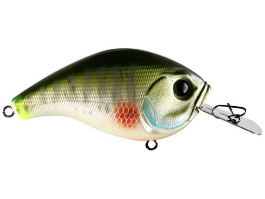 13 FISHING JABBER JAW HYBRID SQUAREBILL CRANKBAIT