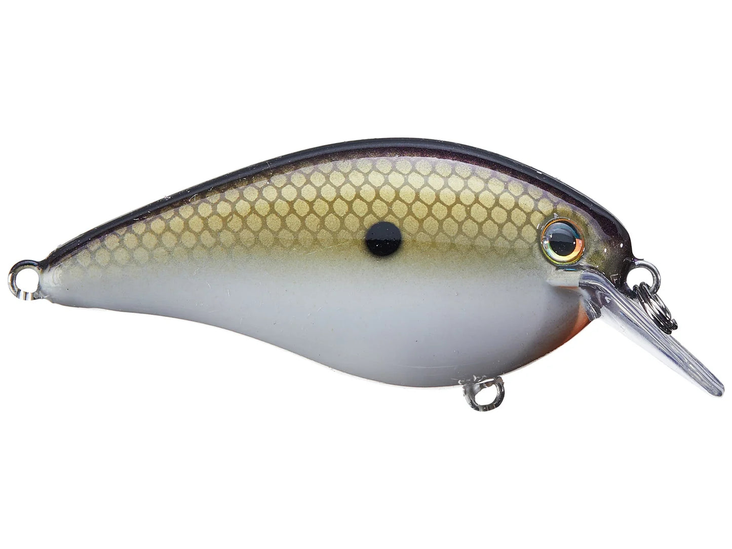 STRIKE KING KVD 2.5 HC SQUAREBILL SILENT CRANKBAIT