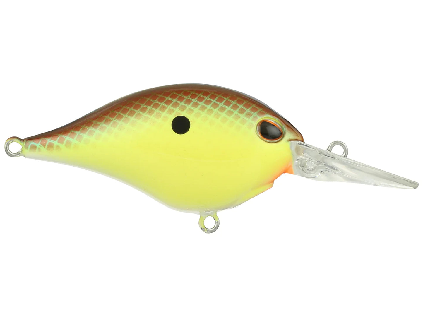 BERKLEY DIME 6 CRANKBAIT