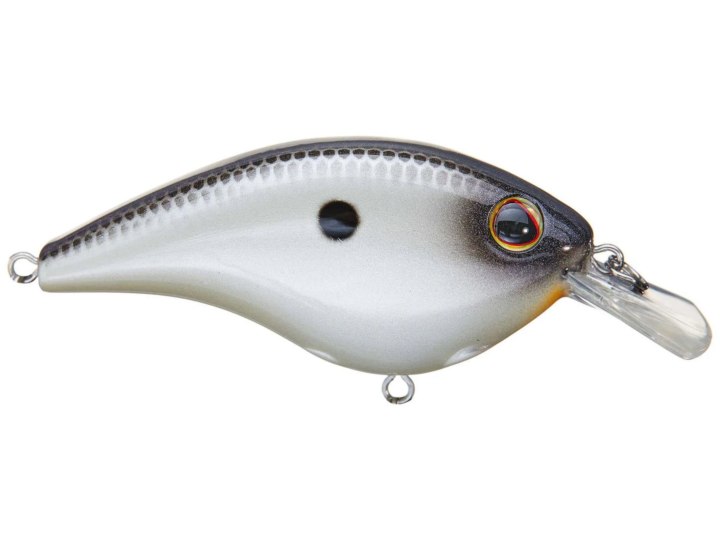 BERKLEY FRITTSIDE 5 CRANKBAIT