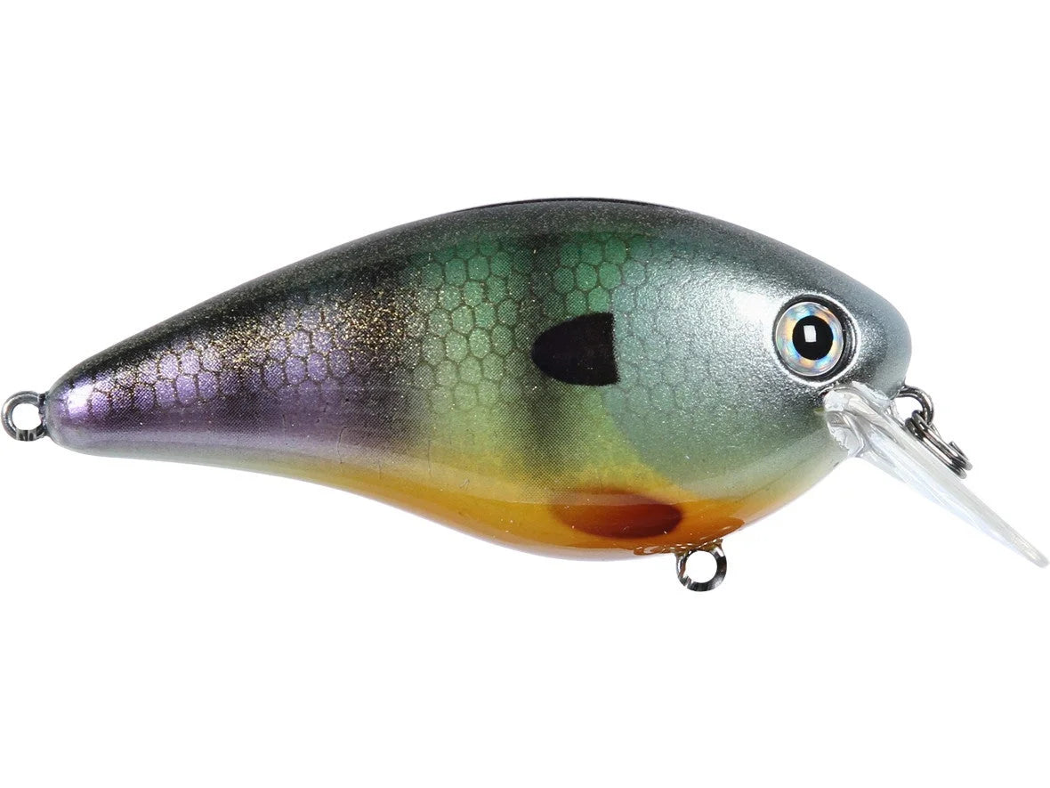 STRIKE KING KVD 2.5 HC SQUAREBILL SILENT CRANKBAIT