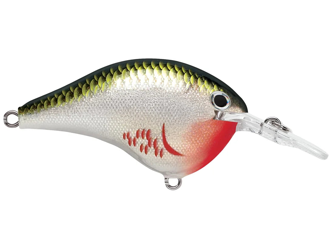 RAPALA DT (DIVES TO) 6 SERIES CRANKBAIT