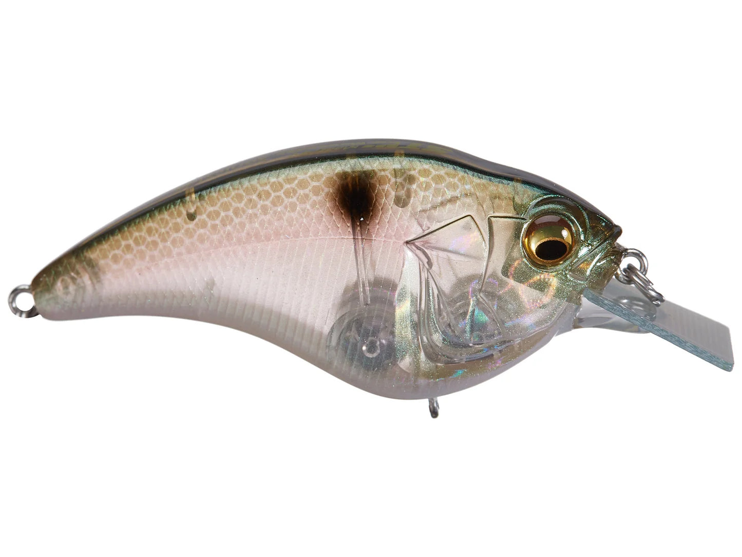 MEGABASS SONICSIDE CRANKBAIT