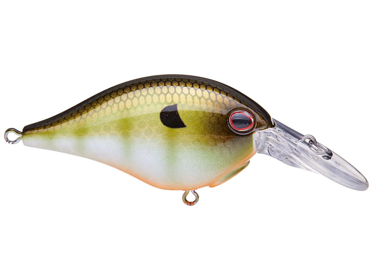 BERKLEY DIME 4 CRANKBAIT