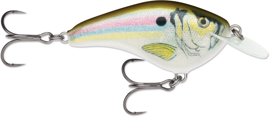 RAPALA OTT'S GARAGE OG SLIM 6 CRANKBAIT