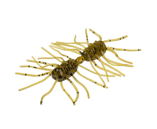 STRIKE KING SEXY BUG