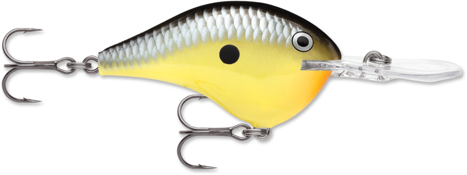 RAPALA DT (DIVES TO) 10 SERIES CRANKBAIT